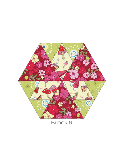 GARDEN WALK EPP Wall Hanging Kit with Papers and Assembly Diagrams