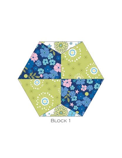 GARDEN WALK EPP Wall Hanging Kit with Papers and Assembly Diagrams