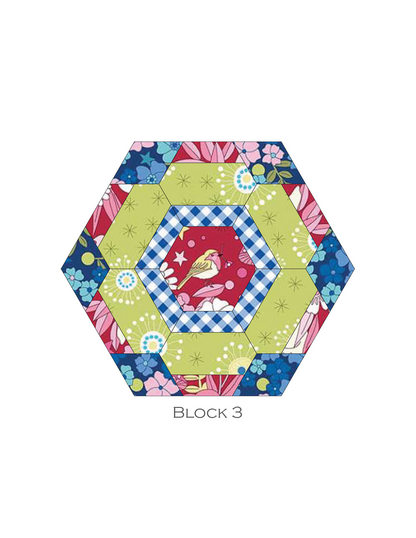 GARDEN WALK EPP Wall Hanging Kit with Papers and Assembly Diagrams