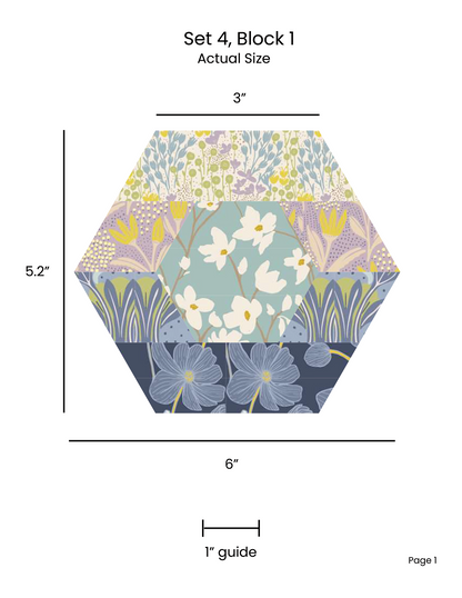 HEXAGON UNCHAINED EPP English Paper Piecing Pieced Hexagon Tutorial for Confident Beginners Set 4
