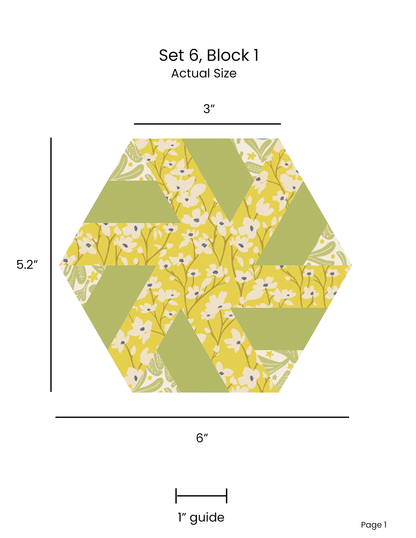 HEXAGON UNCHAINED EPP English Paper Piecing Pieced Hexagon Tutorial for Confident Beginners Set 6